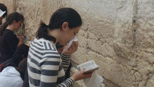 娱乐吃瓜君白鹿怎么了,娱乐吃瓜君深度解析